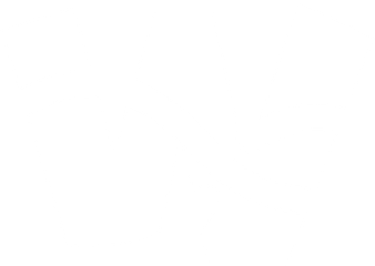 Wingo
